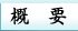 概要